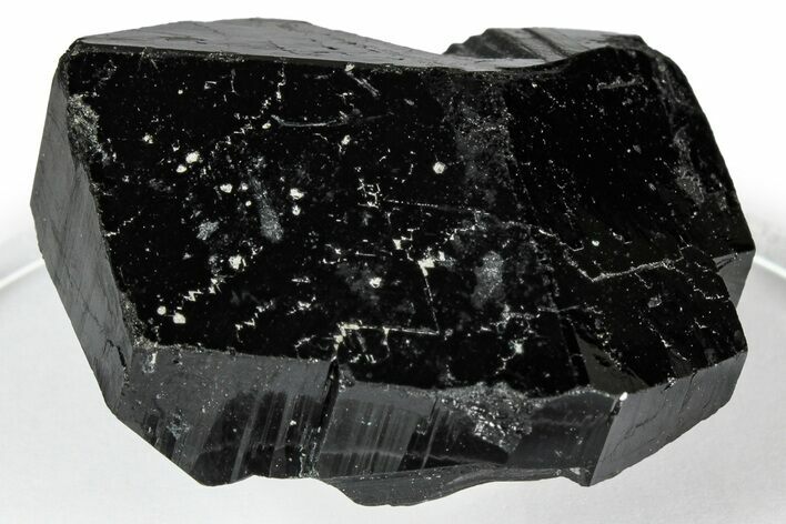 Lustrous Black Tourmaline (Schorl) Crystal - Namibia #348747